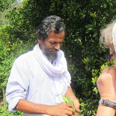 The Eco Hotell Varkala Eksteriør bilde