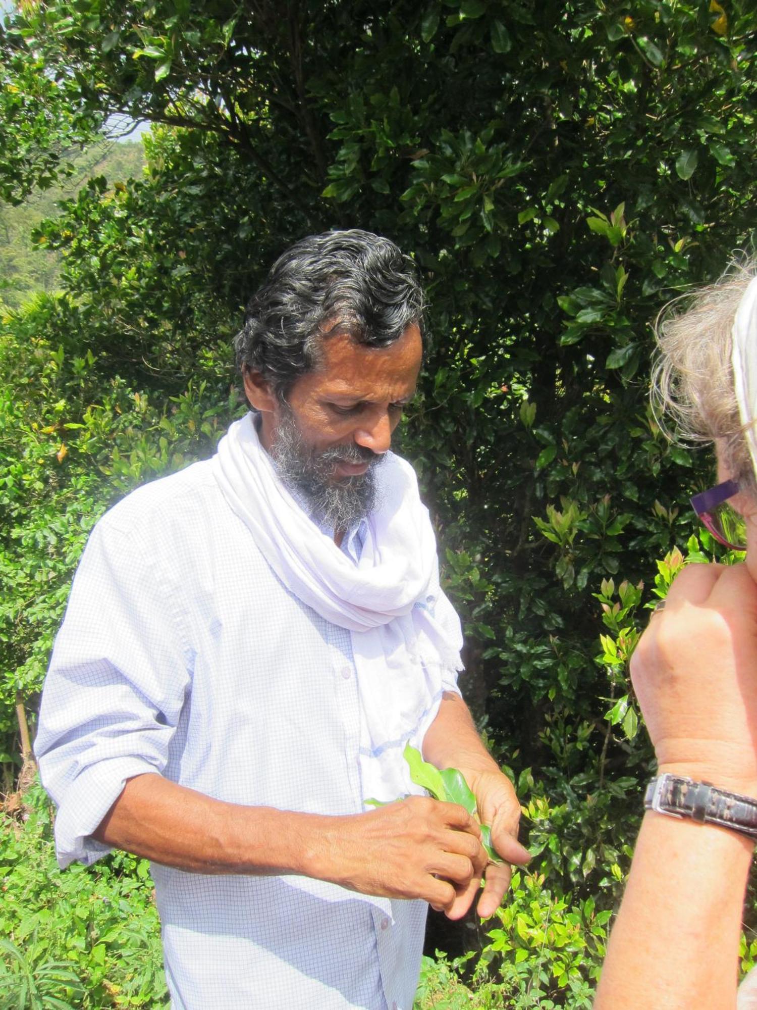 The Eco Hotell Varkala Eksteriør bilde